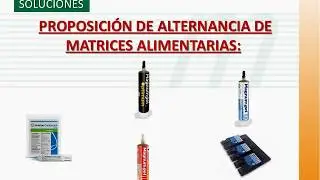 MAGNUM GEL OPTIMUM