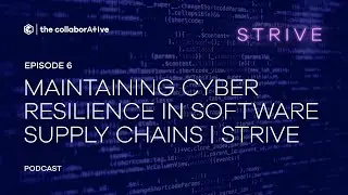 STRIVE: Software Supply Chains