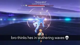 WHEN GENSHIN & WUTHERING WAVES COLLAB (Dodge Mechanic)