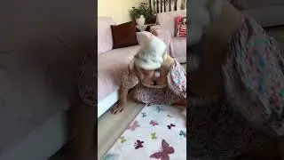 Donunu kaybeden Türbanlı