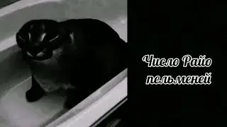 У тебя пельменей: