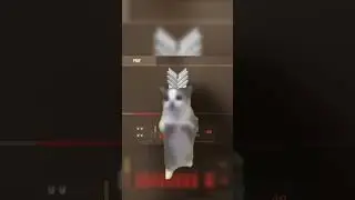 незачто