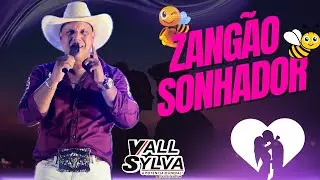 ZANGÃO SONHADOR - DVD VALL SYLVA