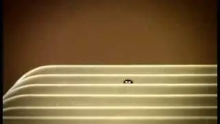 Зима наших досад