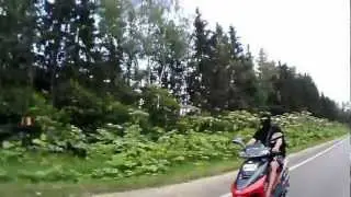 Димон 80  1