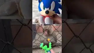 sonic vs Mr monkey 🙈 