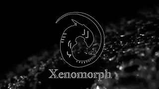 The Beastiary – Xenomorph: Myth and Reality