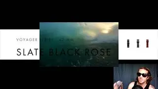MVMT Public Figure (Shades) and Slate Black Rose (Watch) Review
