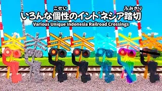 Various Unique Indonesian Railroad Crossings