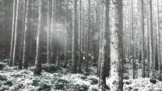 Snowfall (VFX breakdown-After effects)