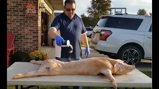 Pig Roast 2019