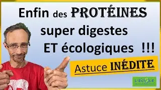 Enfin des protéines écologiques ET super digestes !!!