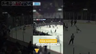 Prospect Of The Week (October 22, 2024): Finn Harding