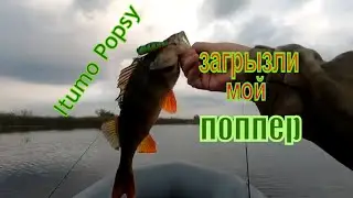 ОКУНИ ЗАГРЫЗЛИ МОЙ ПОППЕР. Itumo Popsy. ЧАСТЬ2