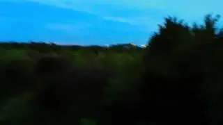 Florida Skunk Ape