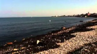 Diving Hawk Catching Fish