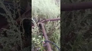 Грабли Гидравлические Прицепные экспресс-обзор от Виталия Белоглазова