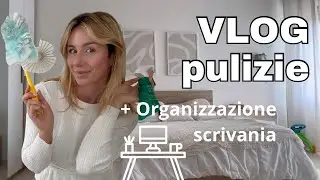 ✨ Vlog pulizie + organizzazione scrivania / Natalia Liberati