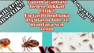 #kümestemizliği Yeni kümesimiz Kümesinizi mis gibi kokutan bit ve mikrop barındırmayan bir tarif