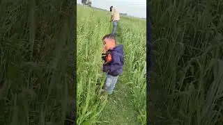 video dekh ke batao ki ye kya chij ka#trending #cutebabyfaiju short #