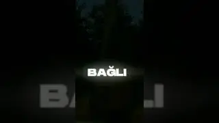 Anlat anlat gelde gönlüme bunu anlat