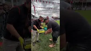 These men oil themselves up for Turkish oil wrestling 😳🛢️🧴