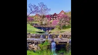 Big Cedar Lodge - Spring 2024