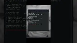 Change Your Linux DNS Server Settings! 