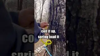Sappin’ Season | Tappin’ the Maple Trees | Maple Syrup #maplesyrup #countrylivin #newhampshire #diy