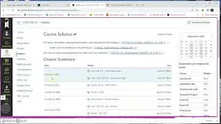 CSIT 256 Canvas Orientation