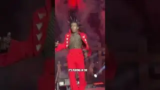 The 