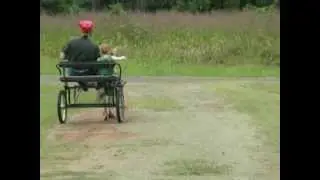 Donkey ride
