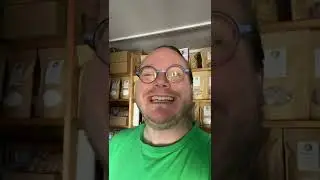 Gibt es in Social Media eigentlich den perfekten Zeitpunkt zu posten? 🤔