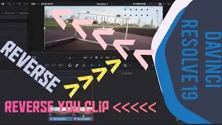 Davinci Resolve 19 How to reverse your Video clip Simple Tutorial