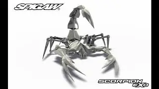 Scorpion Animation