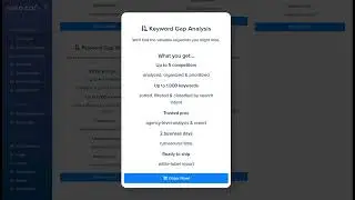 SEO Audit Tutorial Video