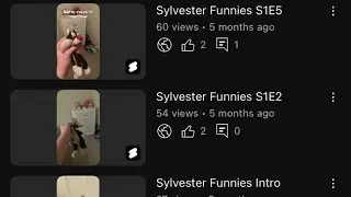 What happened to Sylvester Funnies episodes 3 and 4?