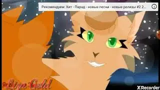 Коты воители песня так выросла карта