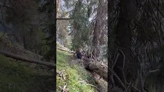Helicopter rescue part 1 
