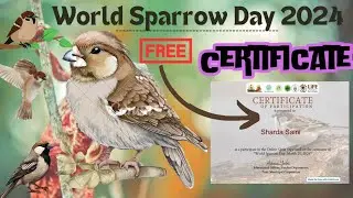 Free World Sparrow Day Certificate | World Sparrow Day 2024 | Free Certificate Online