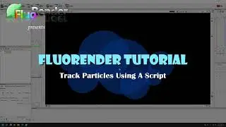 FluoRender Tutorial: Track Particles Using A Script