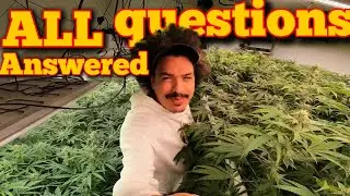 MUST HAVE GROW GEAR TO YIELD OVER 10 POUNDS AT HOME COMPLETE GROW ROOM WALK