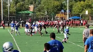 DevDog#75- Jadyns Amazing TD