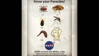 Just because the Bible says the Earth is FL@ Doesn't mean everything in it is true!!!!