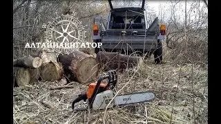 Нива. Сбор валежника. Встреча с 