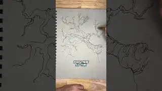 How to draw a gnarled tree branch. #drawingtutorial