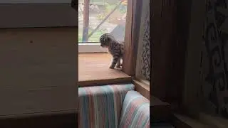 Однажды в чайхане