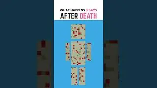 What Happens To Your Body 3 Days After Death? 