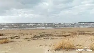 Катка Сосновый бор...