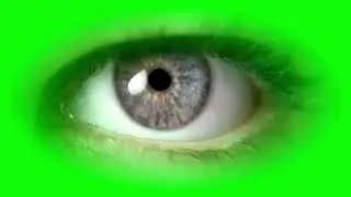 Eyes Blinking First Person - Green Screen Chroma key